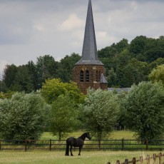 Streek-GR Hageland - Kerk Testelt © Désiré Bollé