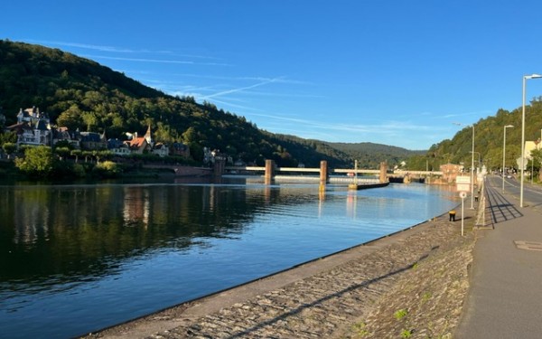 De Neckar in Heidelberg